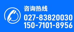 武汉柴油发电机出租公司热线